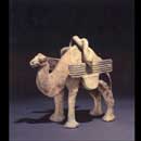 A Rare Painted Grey Pottery Camel