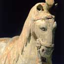 A Close-up of a Rare Painted Grey Pottery Caprisoned Horse