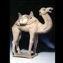 A Painted Pottery Camel