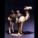A Sancai Glazed Pottery Camel