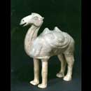 A White-Glazed Pottery Camel